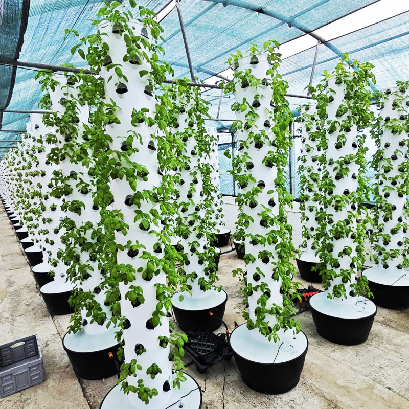 Hydroponic System - 고품질 간편 설치 소형 수직 수경