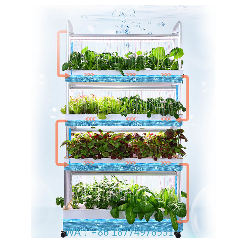 Hydroponic System - 수경재배 시스템 스마트 홈 자동화 시스템