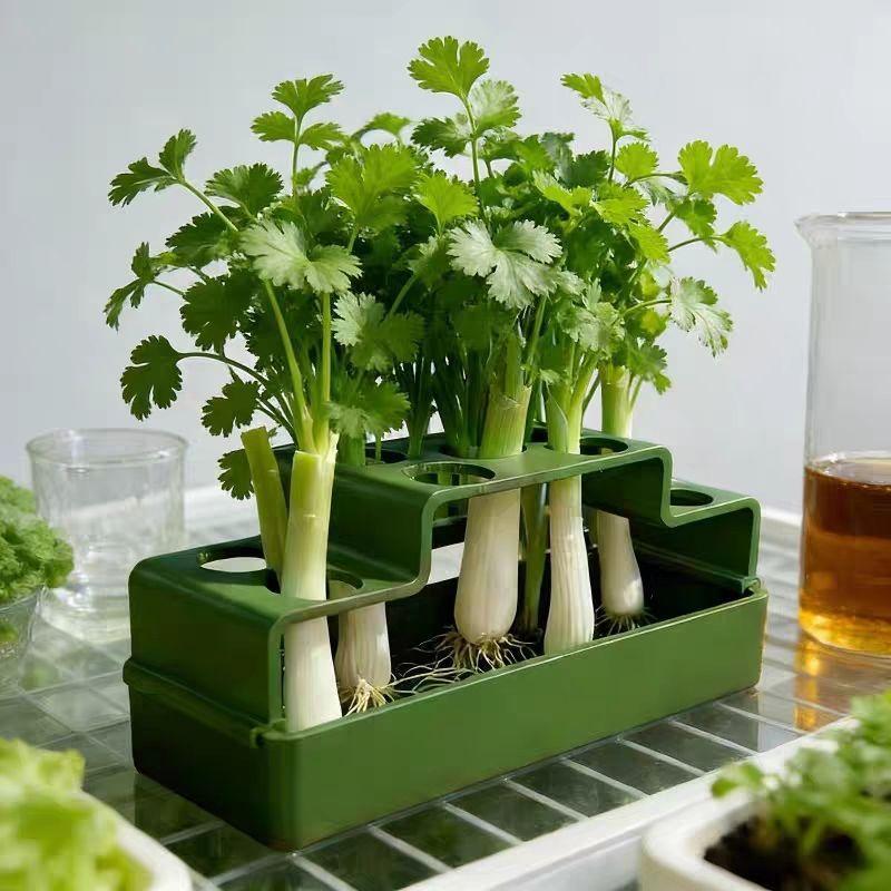 Hydroponic System - 파인양파 재배를 위해 특별히 설계된 수경재배