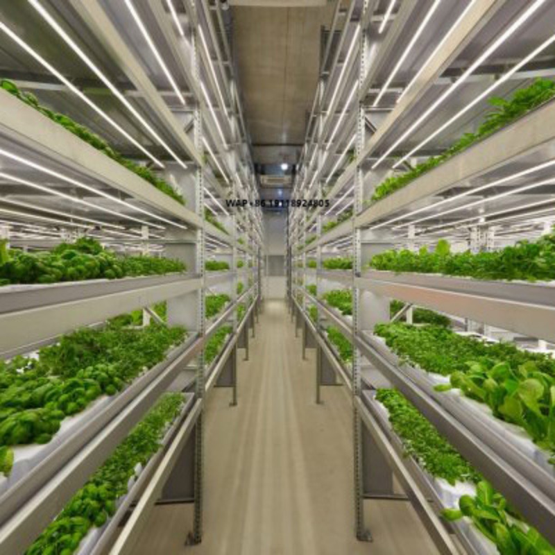 Hydroponic System - 대형 스마트 농장용 컨테이너, 수직 농장,