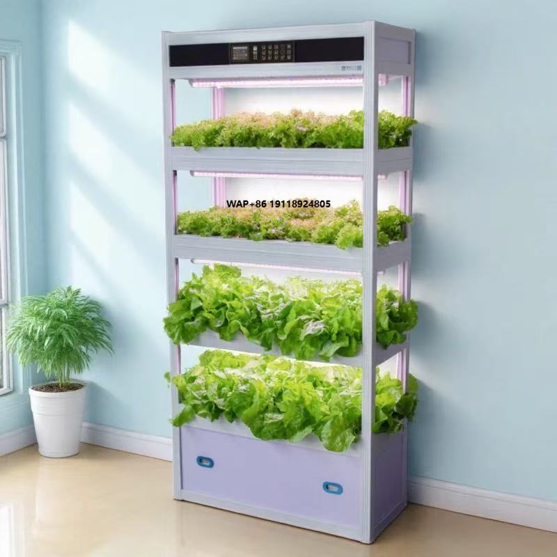 실내 지능형 무토양 재배 수경 재배 채소 재배 장비 프 - Hydroponic System 리뷰 및 가격