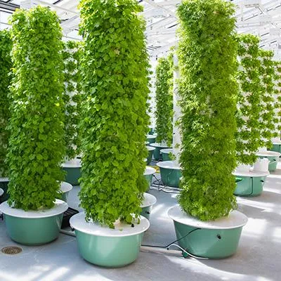 조명이 있는 에어로포닉 타워 가든 시스템 60개 식물  - Hydroponic System 리뷰 및 가격
