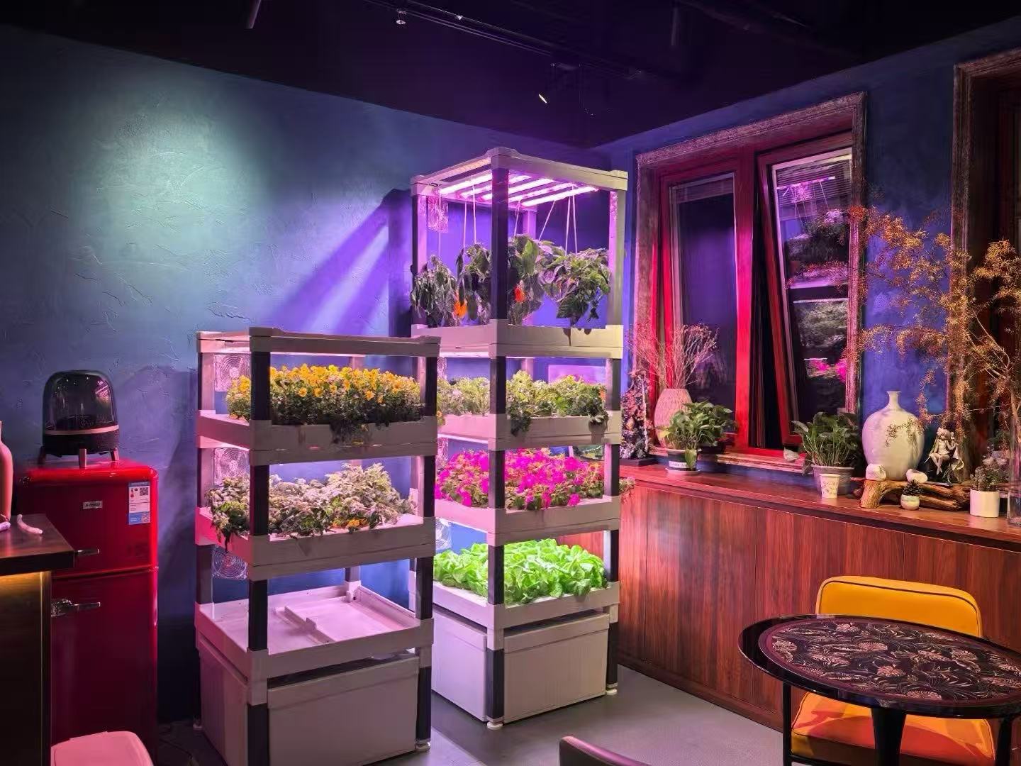 새로운 자동 가정용 수직 수경 재배 시스템 관수 펌프  - Hydroponic System 리뷰 및 가격