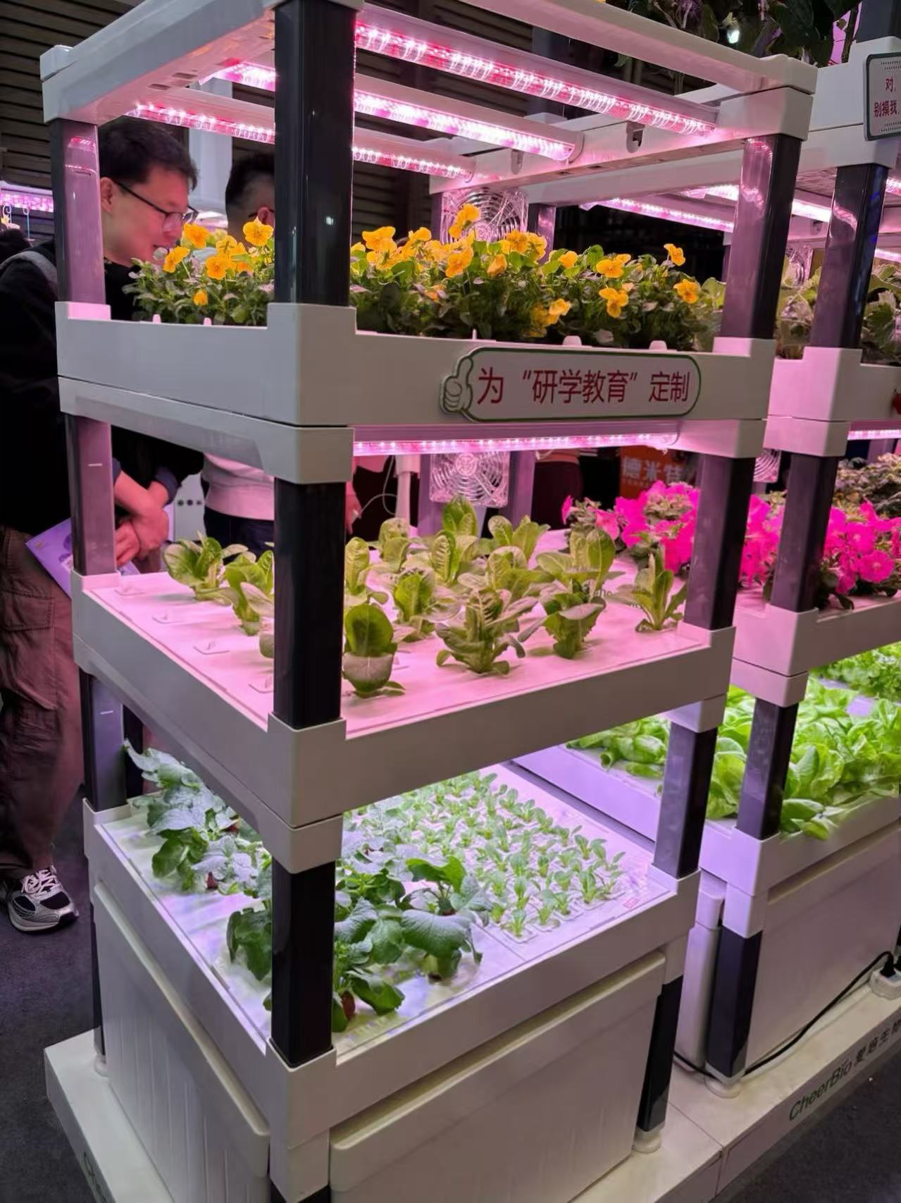 새로운 자동 가정용 수직 수경 재배 시스템 관수 펌프  - Hydroponic System 리뷰 및 가격