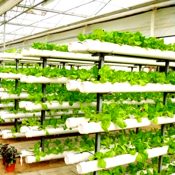 야외 수경 재배 타워 시스템 정원 농업용 무토양 수직  - Hydroponic System 리뷰 및 가격
