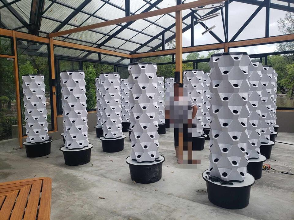온실 수직 농업 수경 재배 타워 정원 수직 수경 시스템 - Hydroponic System 리뷰 및 가격