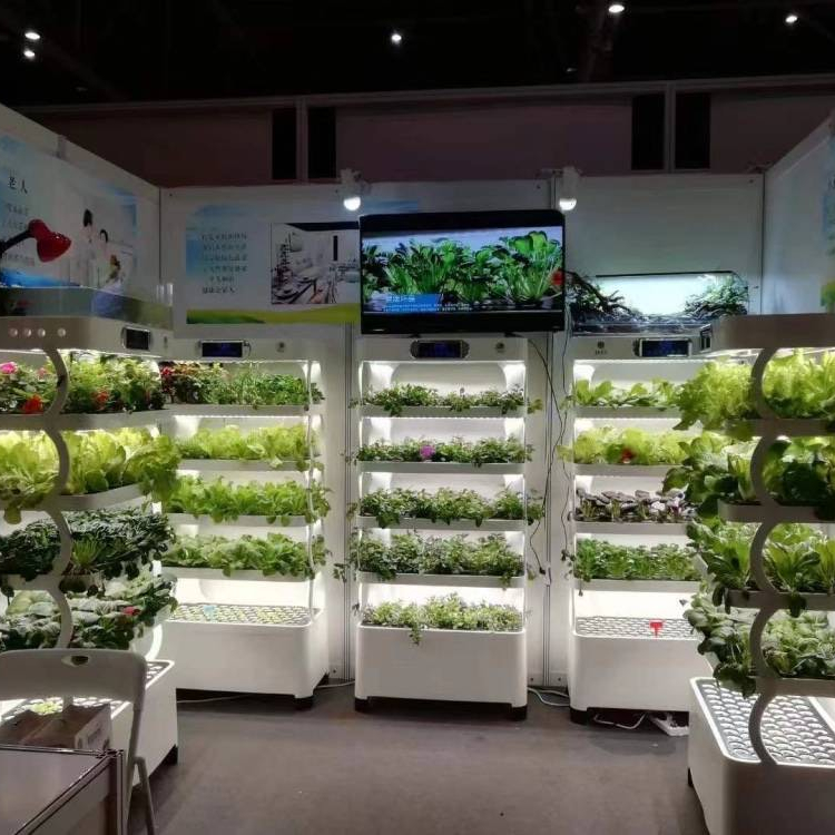 지능형 수경재배 시스템 가정용 제어 가능 수경재배 장비 - Hydroponic System 리뷰 및 가격