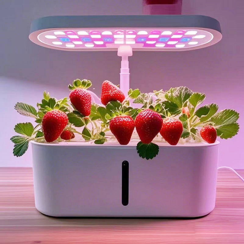 가정용 스마트 수경 재배기 무토양 수경 꽃 재배 시스템 - Hydroponic System 리뷰 및 가격
