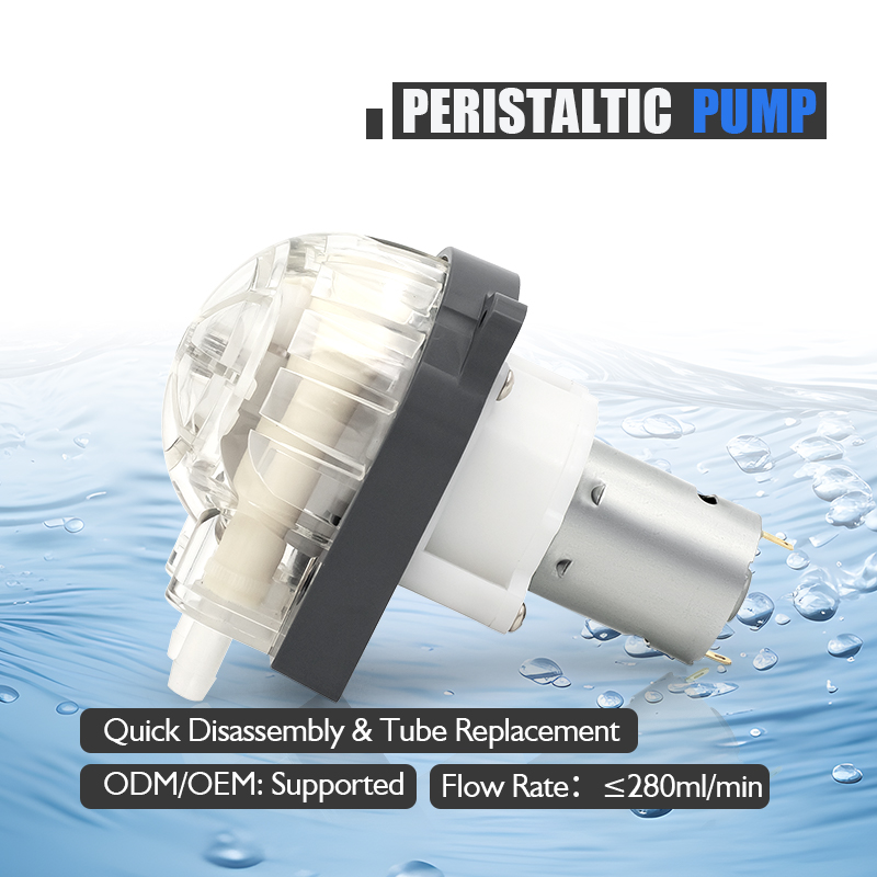 저소음 12V 24V DC 모터 280ml/min pH - Hydroponic System 리뷰 및 가격