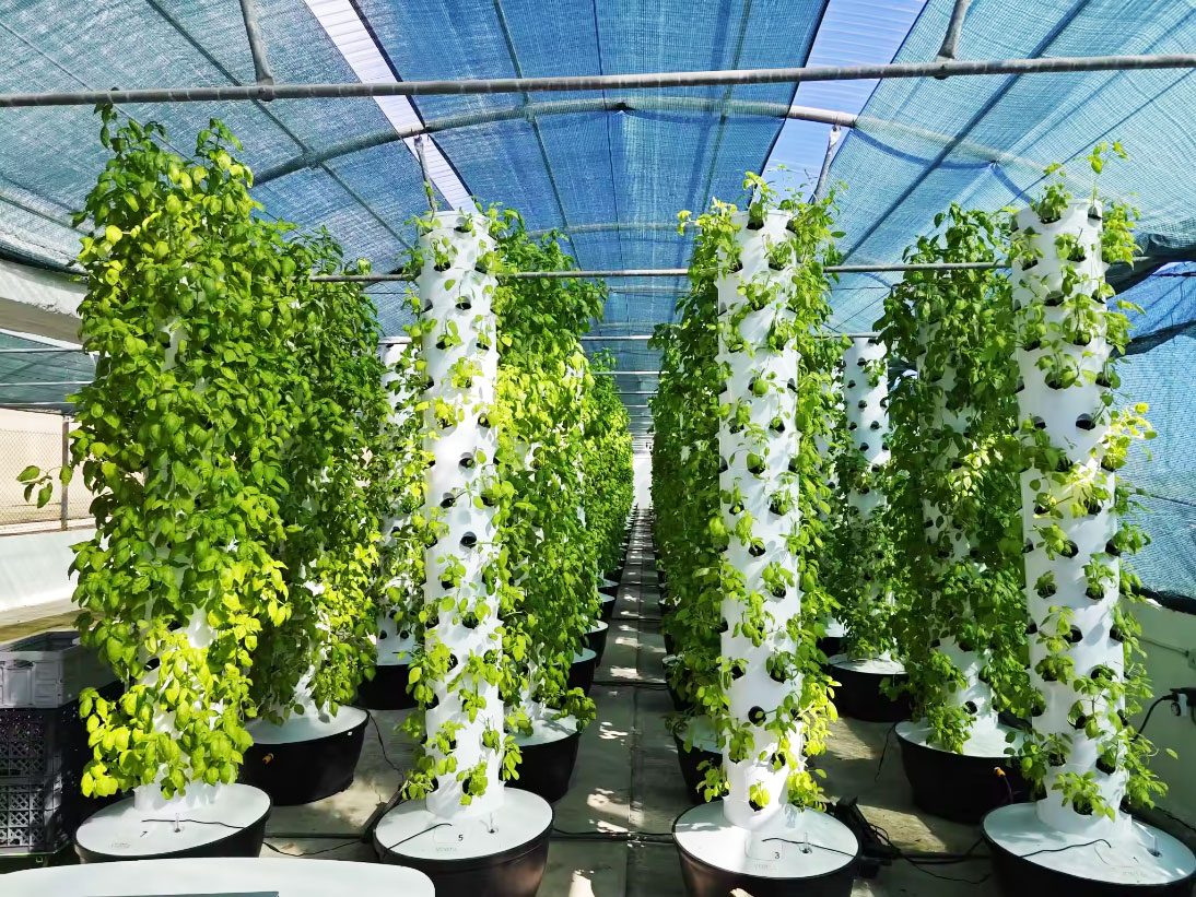 고품질 간편 설치 소형 수직 수경 재배 타워 시스템 온 - Hydroponic System 리뷰 및 가격