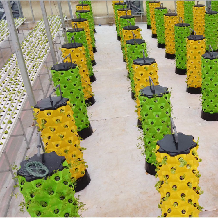 고품질 간편 설치 소형 수직 수경 재배 타워 시스템 온 - Hydroponic System 리뷰 및 가격