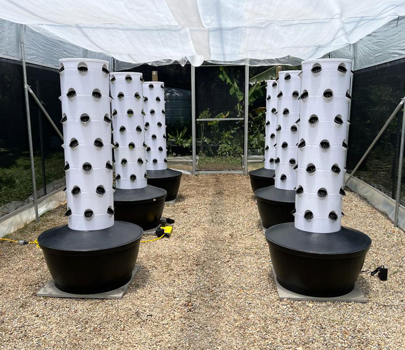 고품질 간편 설치 소형 수직 수경 재배 타워 시스템 온 - Hydroponic System 리뷰 및 가격