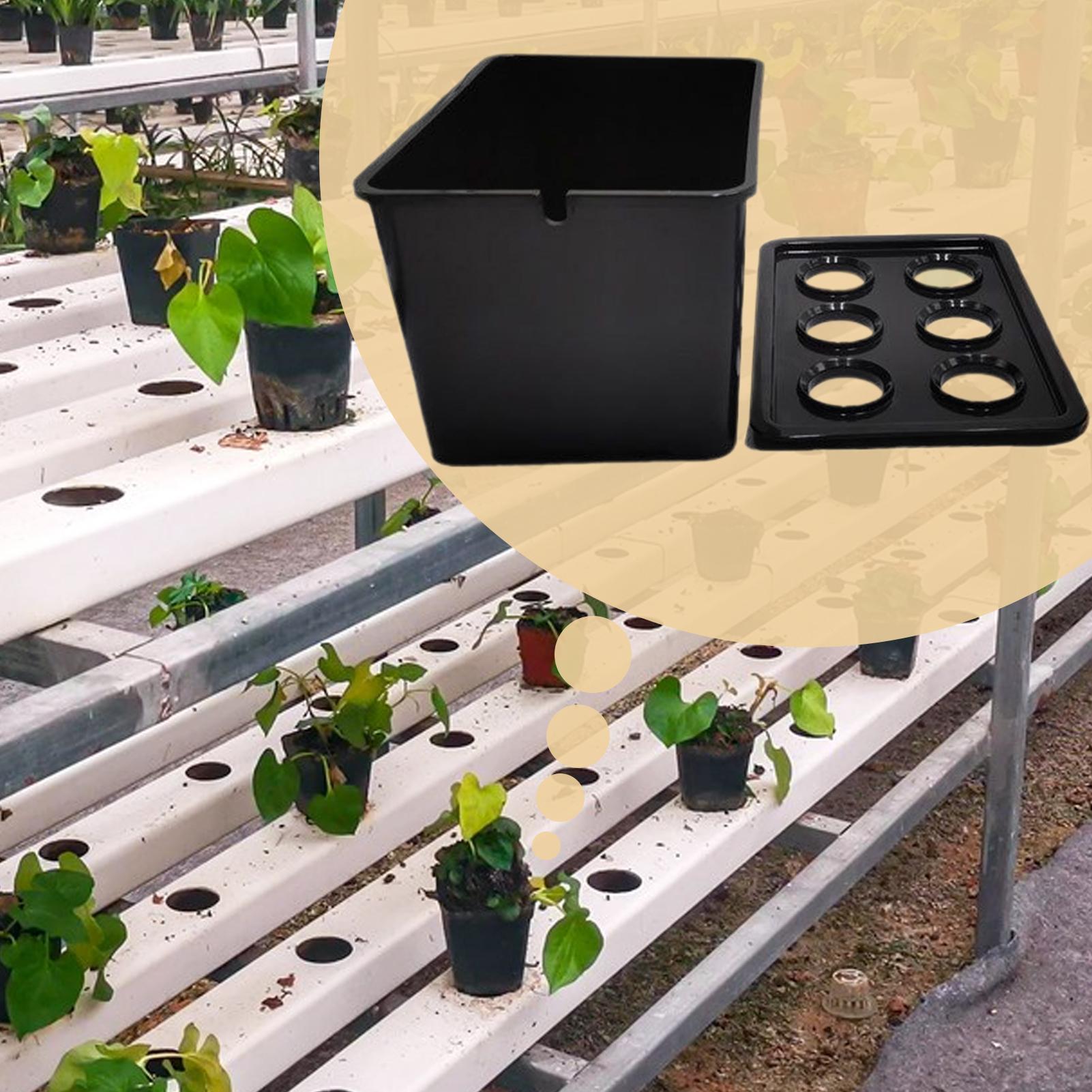 수경재배 키트 초보자용 장비 가정용 수경재배 묘목 시스 - Hydroponic System 리뷰 및 가격