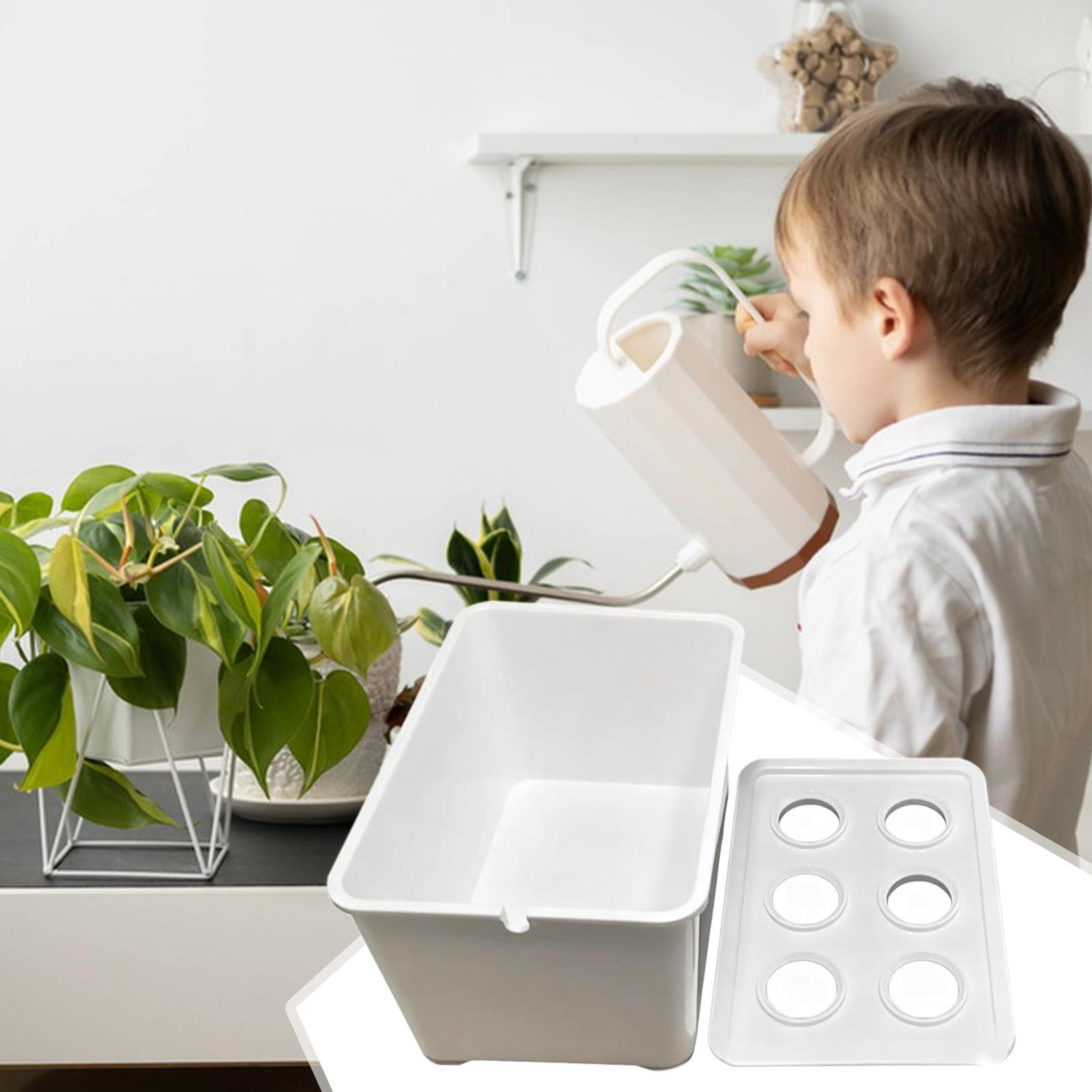 수경재배 키트 초보자용 장비 가정용 수경재배 묘목 시스 - Hydroponic System 리뷰 및 가격
