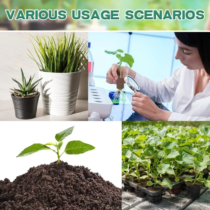 수경 실내 정원 시스템용 묘목 스타터 스펀지 키트, 성 - Hydroponic System 리뷰 및 가격