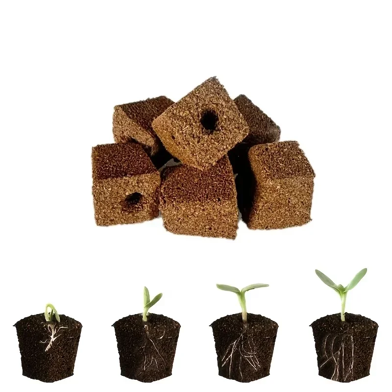 수경 실내 정원 시스템용 묘목 스타터 스펀지 키트, 성 - Hydroponic System 리뷰 및 가격