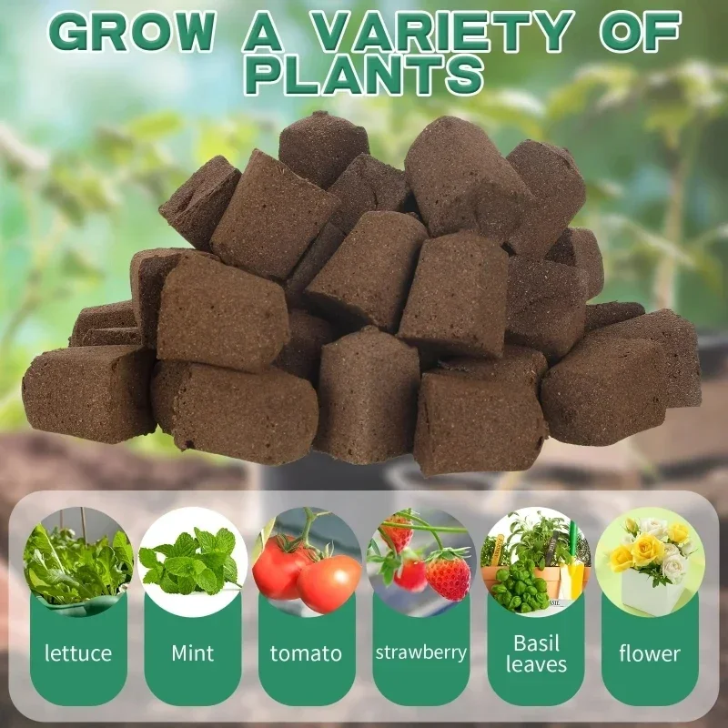 수경 실내 정원 시스템용 묘목 스타터 스펀지 키트, 성 - Hydroponic System 리뷰 및 가격
