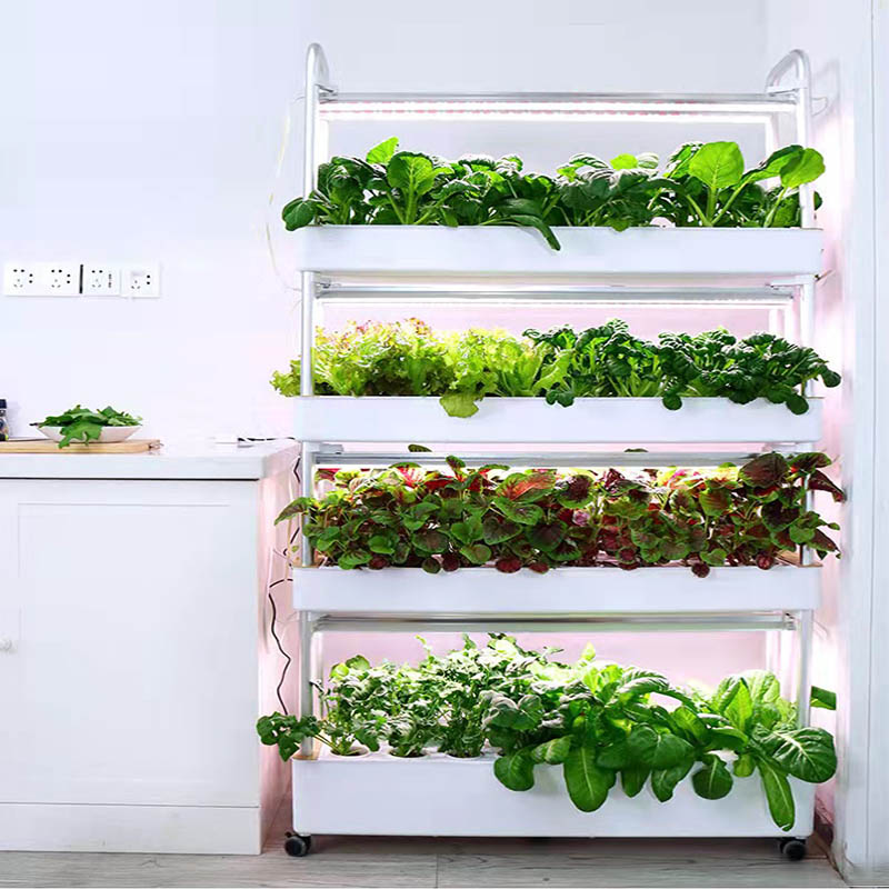 수경재배 시스템 스마트 홈 자동화 시스템 판매중 인기  - Hydroponic System 리뷰 및 가격