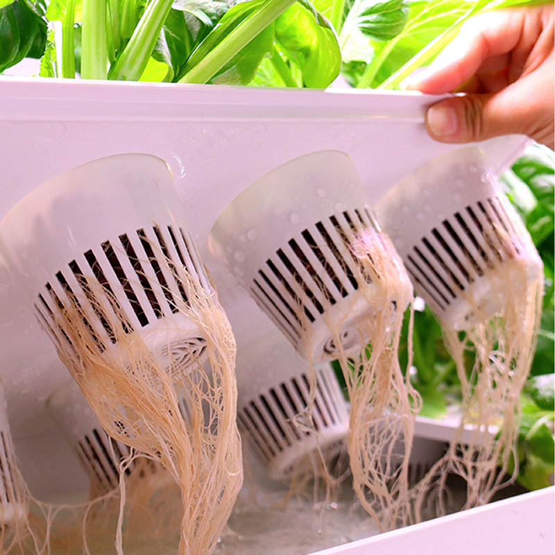 수경재배 시스템 스마트 홈 자동화 시스템 판매중 인기  - Hydroponic System 리뷰 및 가격