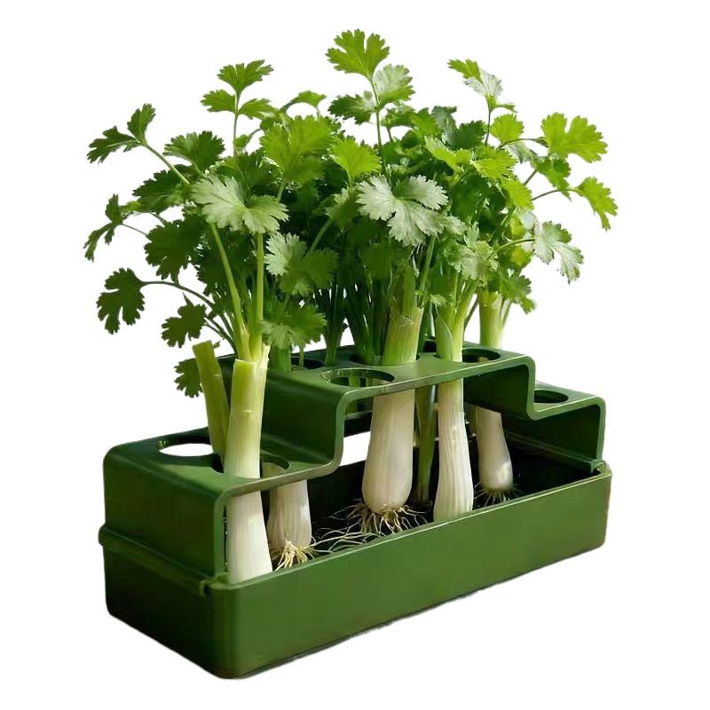 파인양파 재배를 위해 특별히 설계된 수경재배 시스템으로 - Hydroponic System 리뷰 및 가격