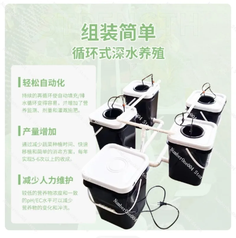 RDWC 가정용 발코니 수경재배 키트, 4+1 & 8+ - Hydroponic System 리뷰 및 가격