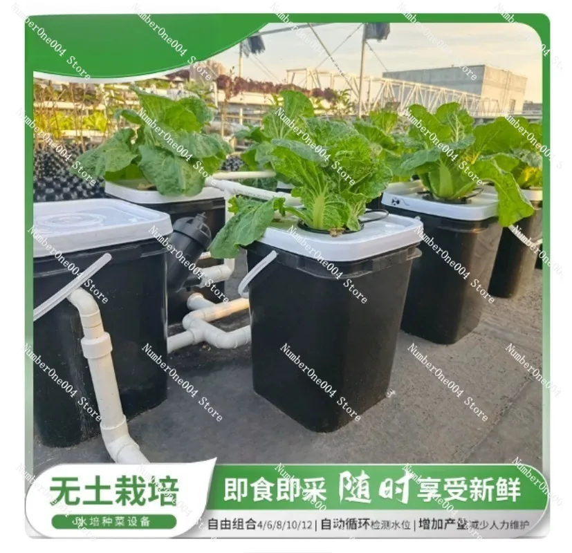RDWC 가정용 발코니 수경재배 키트, 4+1 & 8+ - Hydroponic System 리뷰 및 가격