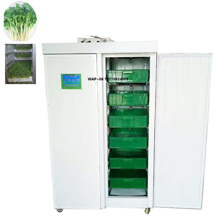 실내 수경 재배 콩 마늘 재배 시스템 로타 가든 스프라 - Hydroponic System 리뷰 및 가격