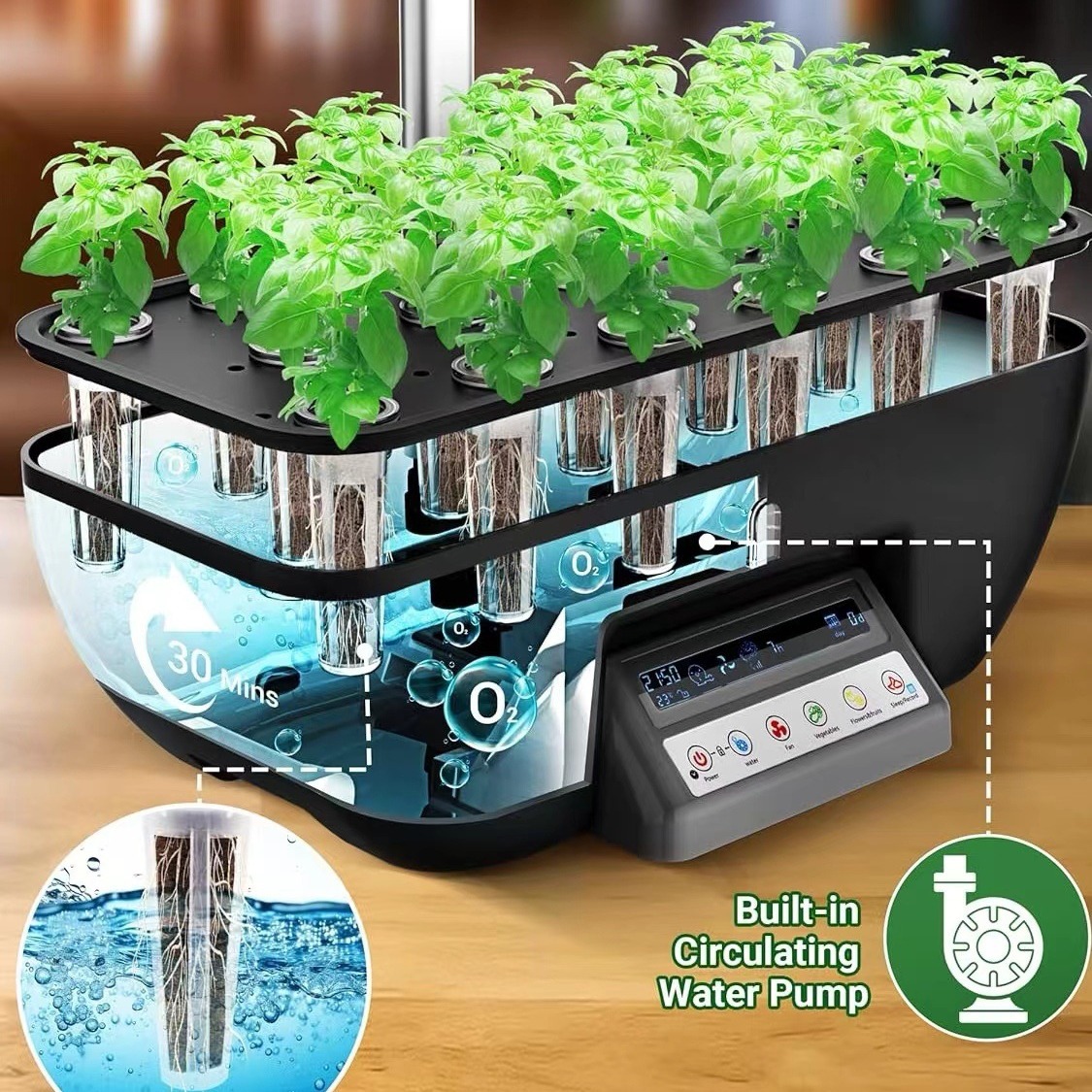다기능 파종 시스템, 게으른 사람들을 위한 지능형 수경 - Hydroponic System 리뷰 및 가격