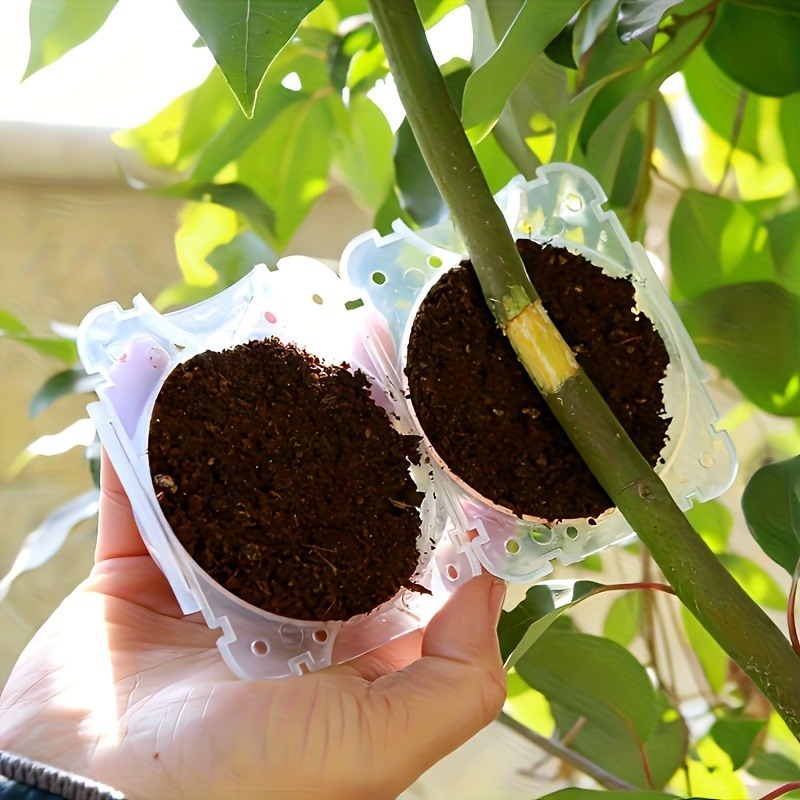 10개입 고압 식물 뿌리화 번식 상자 키트, 정원용 압 - Gardening Tools Organiser 리뷰 및 가격