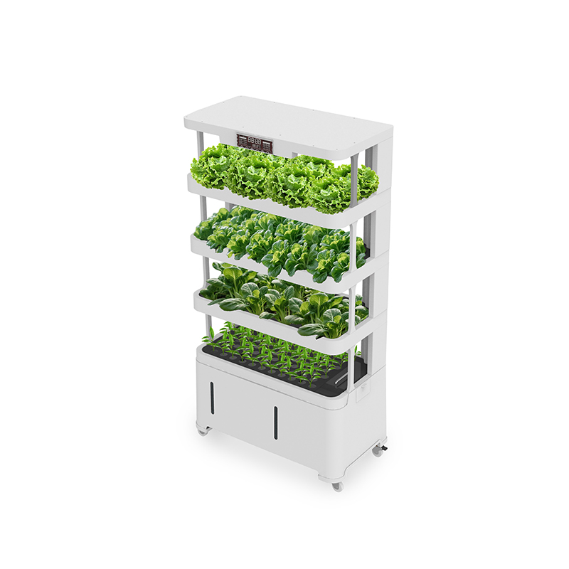 하이테크 지능형 수경재배 장비 스마트 수경재배 화분 펌 - Hydroponic System 리뷰 및 가격
