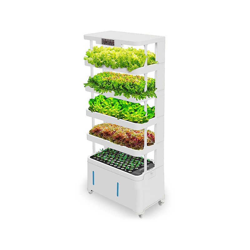 하이테크 지능형 수경재배 장비 스마트 수경재배 화분 펌 - Hydroponic System 리뷰 및 가격