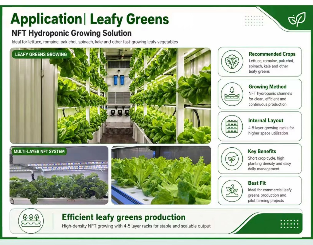 대형 스마트 농장용 컨테이너, 수직 농장, 수경 재배  - Hydroponic System 리뷰 및 가격
